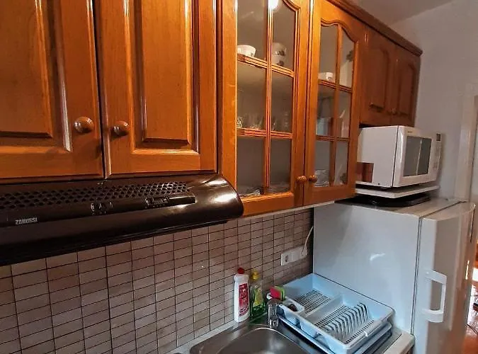 Toni ヴォディツェ